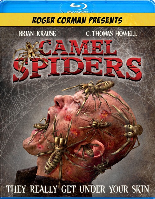 CAMEL SPIDERS-CAMEL SPIDERS
