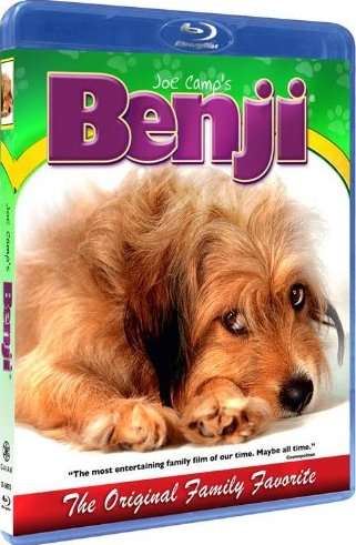 JOE CAMPS BENJI-JOE CAMPS BENJI