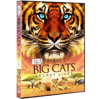 BIG CATS: SECRET LIVES-BIG CATS: SECRET LIVES