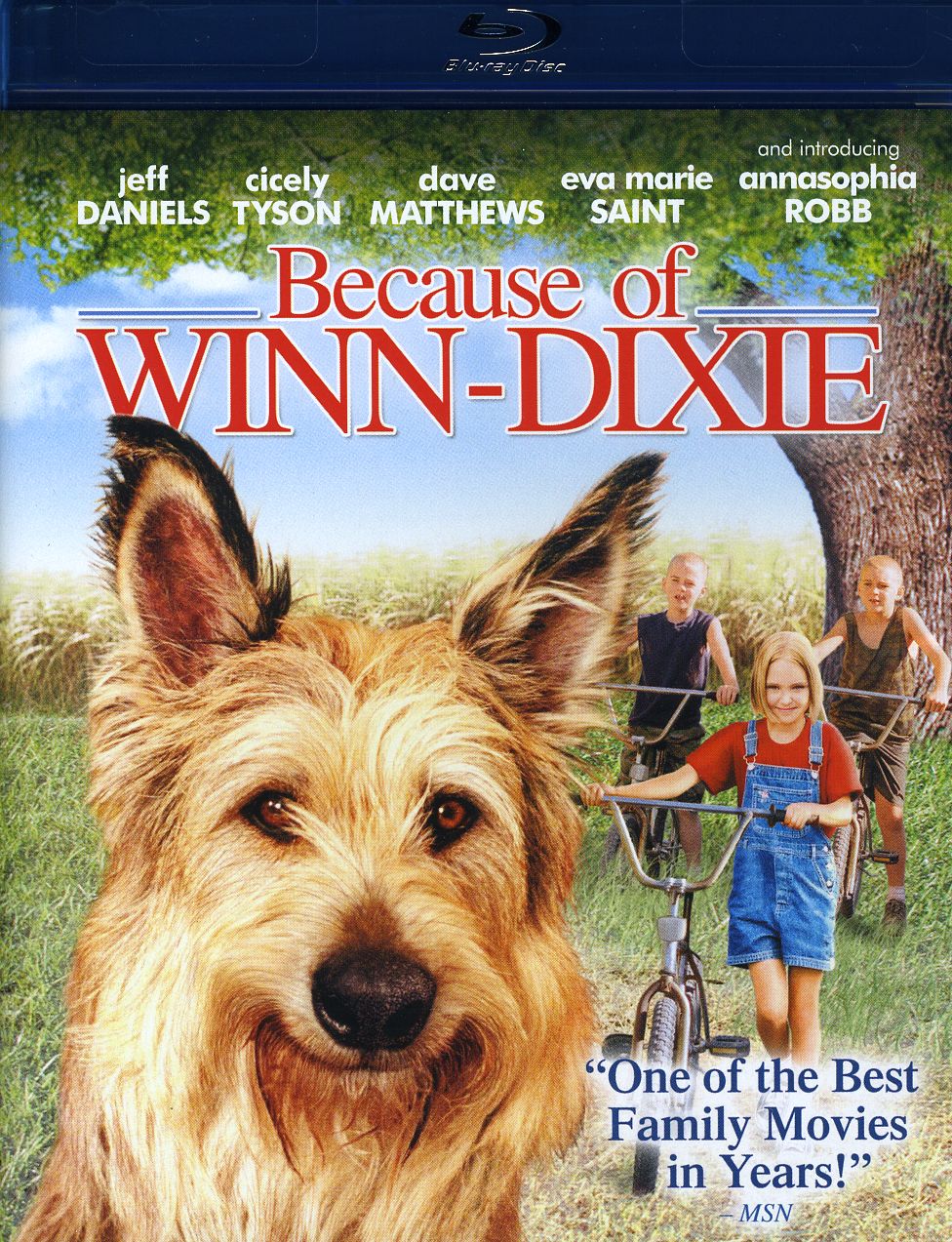 BECAUSE OF WINN DIXIE / (AC3 DOL DTS DUB SUB WS)-BECAUSE OF WINN DIXIE / (AC3 DOL DTS DUB SUB WS)