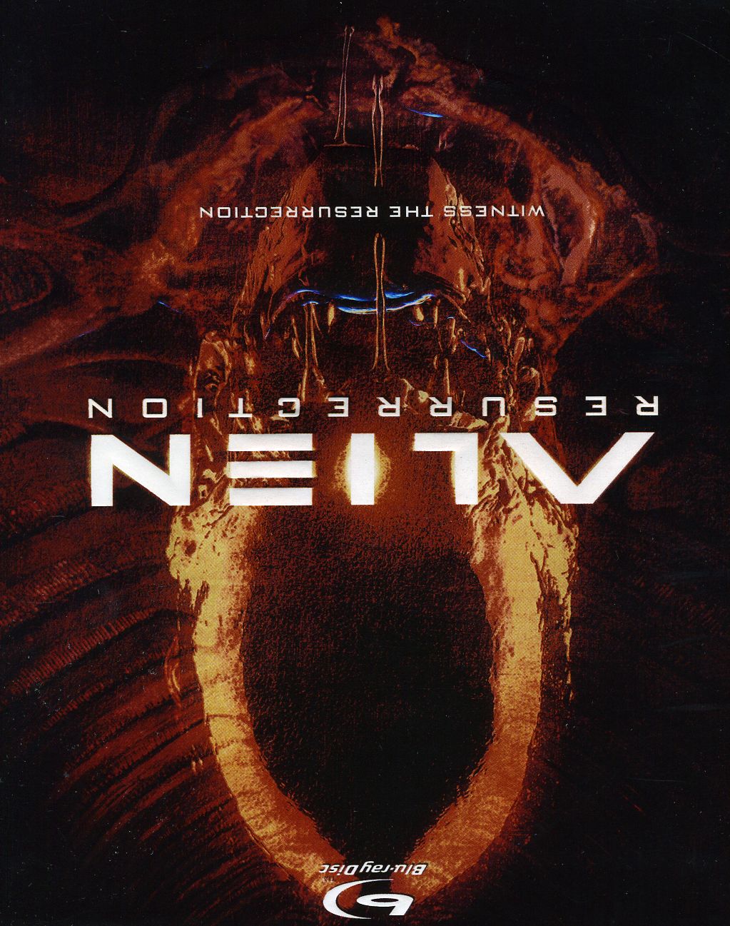 ALIEN: RESURRECTION / (AC3 DOL DTS WS)-ALIEN: RESURRECTION / (AC3 DOL DTS WS)
