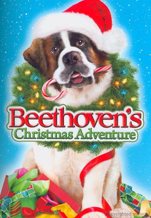 BEETHOVEN'S CHRISTMAS ADVENTURE / (AC3 DOL DUB W-BEETHOVEN'S CHRISTMAS ADVENTURE / (AC3 DOL DUB W