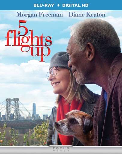 5 FLIGHTS UP / (UVDC DHD DIGC SLIP SNAP)-5 FLIGHTS UP / (UVDC DHD DIGC SLIP SNAP)