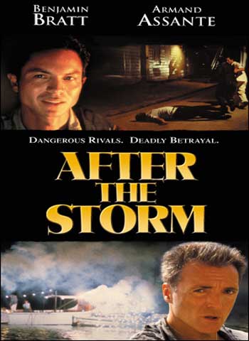 AFTER THE STORM-AFTER THE STORM