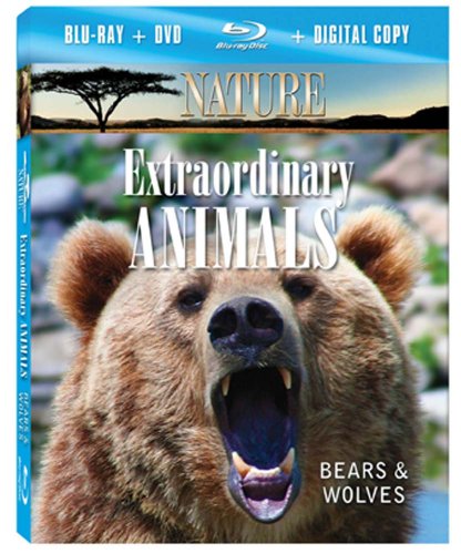 NATURE: EXTRAORDINARY ANIMALS: BEARS & WOLVES-NATURE: EXTRAORDINARY ANIMALS: BEARS & WOLVES