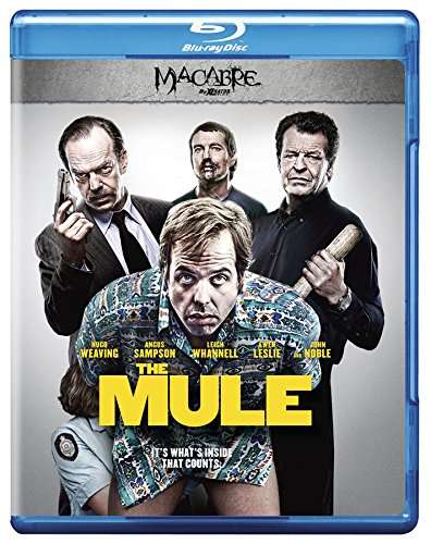 MULE / (AMAR DOL WS)-MULE / (AMAR DOL WS)