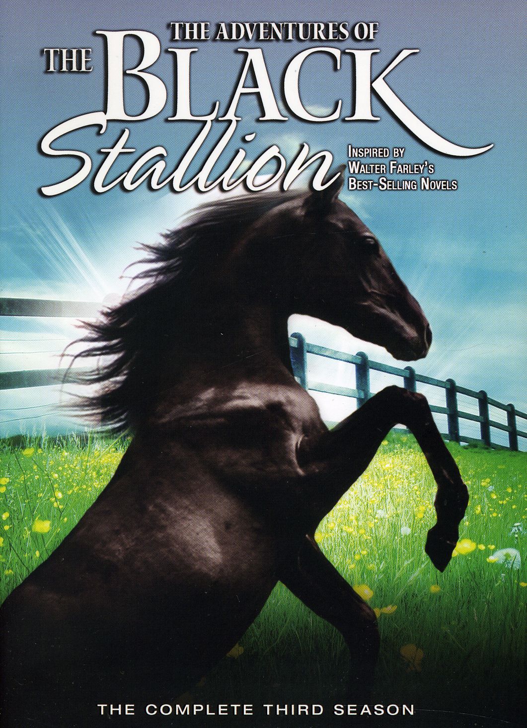 ADVENTURES OF THE BLACK STALLION SEASON 3 / (C-ADVENTURES OF THE BLACK STALLION / (CAN NTSC)