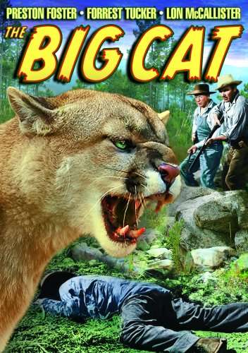 BIG CAT / (MOD)-BIG CAT / (MOD)