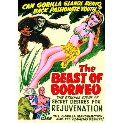 BEAST OF BORNEO-BEAST OF BORNEO