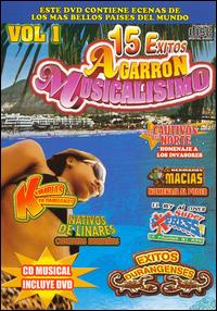 15 EXITOS AGARRON MUSICALISIMOVOL 1 / VARIOUS-15 EXITOS AGARRON MUSICALISIMOVOL 1 / VARIOUS