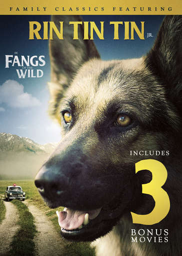 4-MOVIE FAMILY CLASSICS: RIN TIN TIN JR IN FANGS-4-MOVIE FAMILY CLASSICS: RIN TIN TIN JR IN FANGS