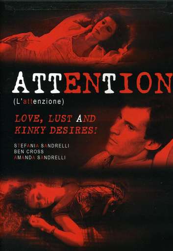 ATTENTION / (SUB WS)-ATTENTION / (SUB WS)