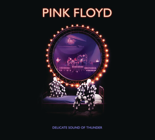 DELICATE SOUND OF THUNDER-PINK FLOYD