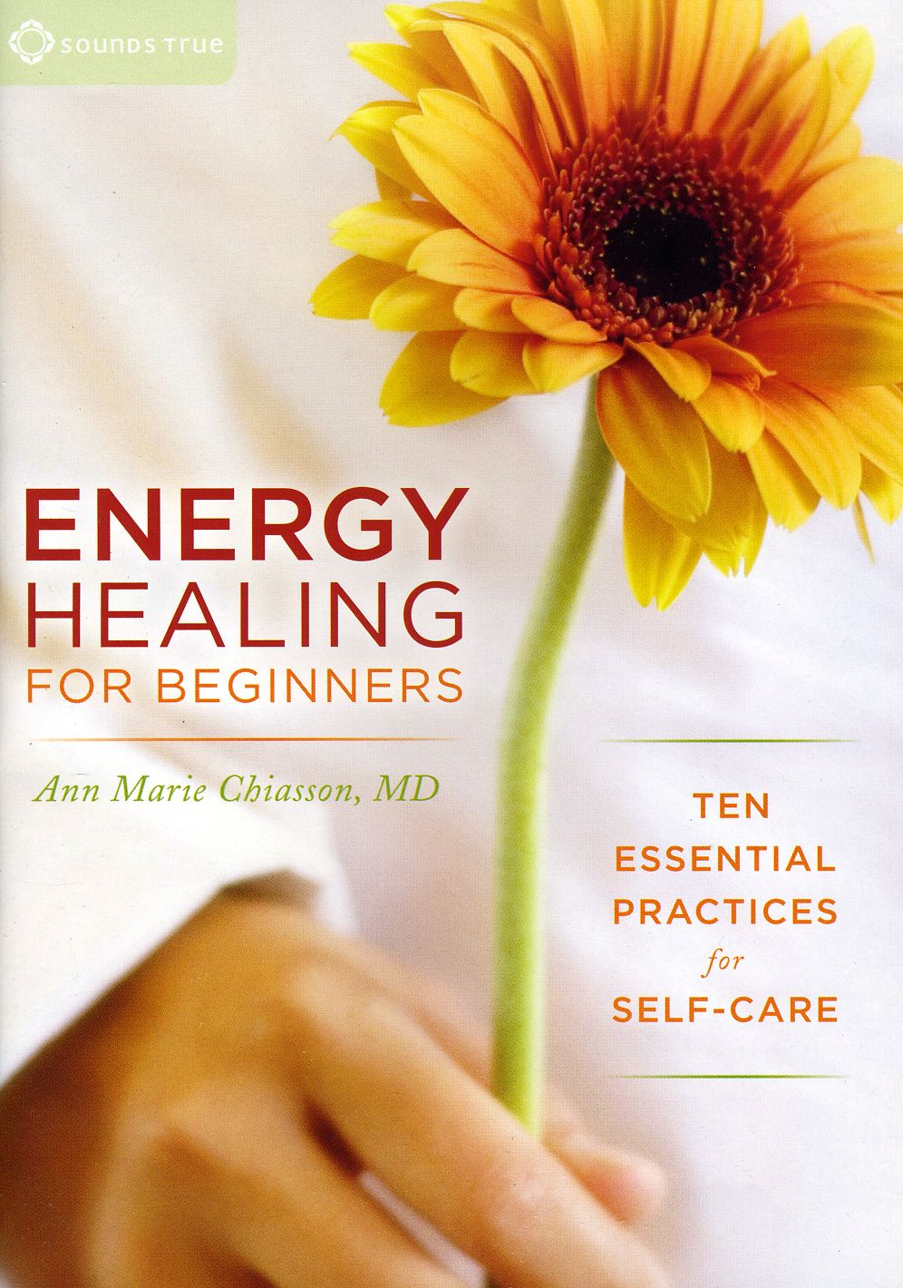 ENERGY HEALING FOR BEGINNERS / (WS)-ANN MARIE CHIASSON / (WS)