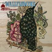 REBEL SWEETHEART-WALLFLOWERS