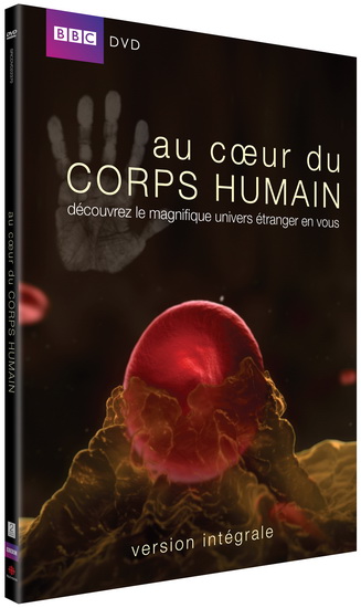 AU COEUR DU CORPS HUMAIN-AU COEUR DU CORPS HUMAIN
