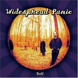 BALL-WIDESPREAD PANIC