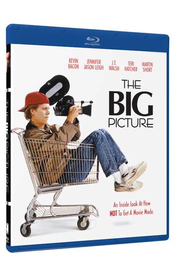 BIG PICTURE,THE (1 BD 25)-THE (1 BD 25) BIG PICTURE