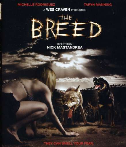 BREED / (AC3 DOL SUB WS)-BREED / (AC3 DOL SUB WS)