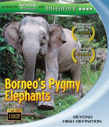 BORNEOS PYGMY ELEPHANTS-BORNEOS PYGMY ELEPHANTS