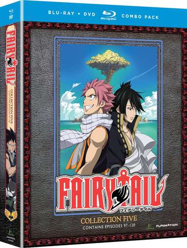 FAIRY TAIL - COLLECTION FIVE (8PC) (W / DVD) / (DU-FAIRY TAIL - COLLECTION FIVE (8PC) (W / DVD) / (DU