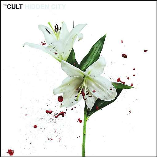 HIDDEN CITY-CULT