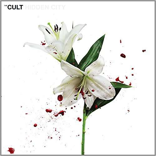 HIDDEN CITY-CULT