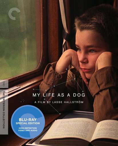 MY LIFE AS A DOG / BD-CRITERION COLLECTION