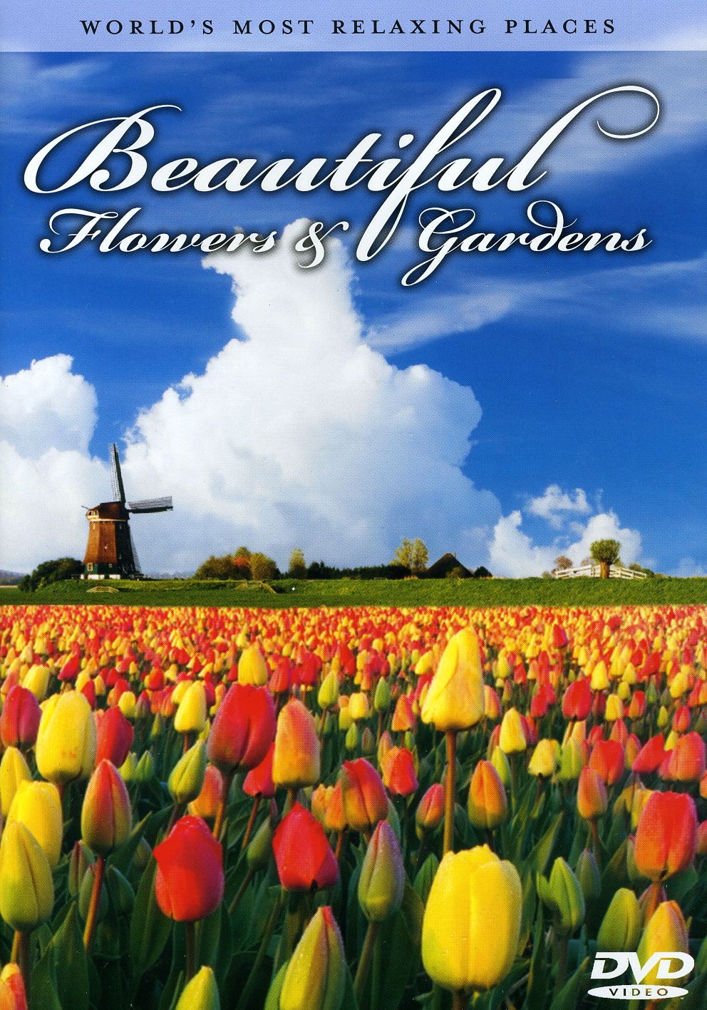 BEAUTIFUL FLOWERS & GARDENS-BEAUTIFUL FLOWERS & GARDENS