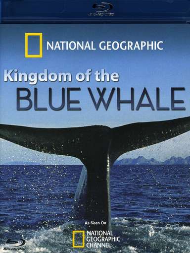 KINGDOM OF BLUE WHALE / (AC3 DOL WS)-KINGDOM OF BLUE WHALE / (AC3 DOL WS)