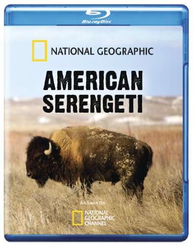AMERICAN SERENGETI / (AC3 DOL WS)-AMERICAN SERENGETI / (AC3 DOL WS)