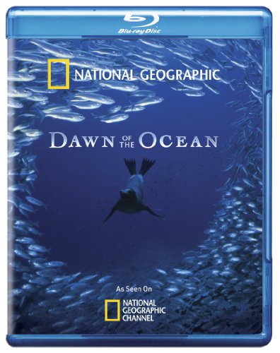 DAWN OF THE OCEAN / (WS)-DAWN OF THE OCEAN / (WS)