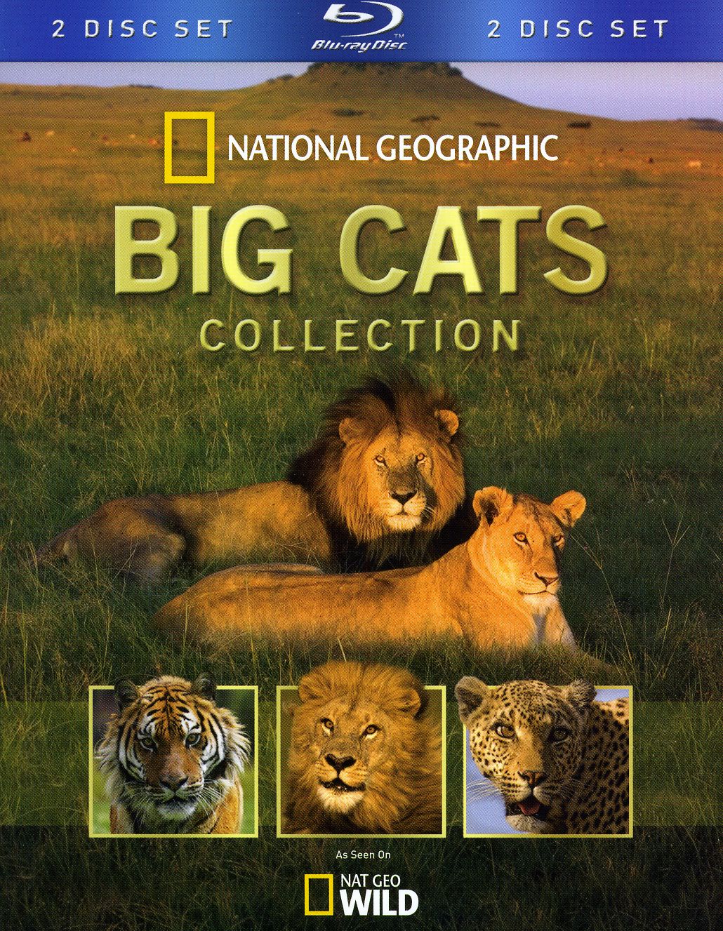 BIG CATS COLLECTION (2PC) / (AC3 DOL WS)-BIG CATS COLLECTION (2PC) / (AC3 DOL WS)