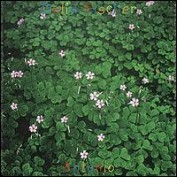 ANTONIO-DELIA FISCHER