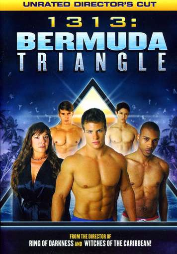 1313: BERMUDA TRIANGLE-1313: BERMUDA TRIANGLE