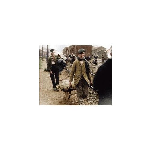 BATTLEFIELD DETECTIVES - WORLD WAR 1: JUTLAND-BATTLEFIELD DETECTIVES - WORLD WAR 1: JUTLAND