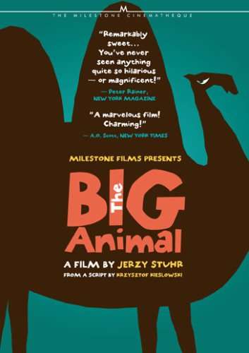 BIG ANIMAL / (B&W SUB)-BIG ANIMAL / (B&W SUB)