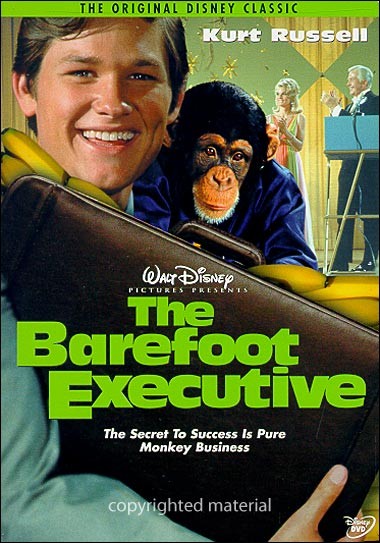BAREFOOT EXECUTIVE-BAREFOOT EXECUTIVE