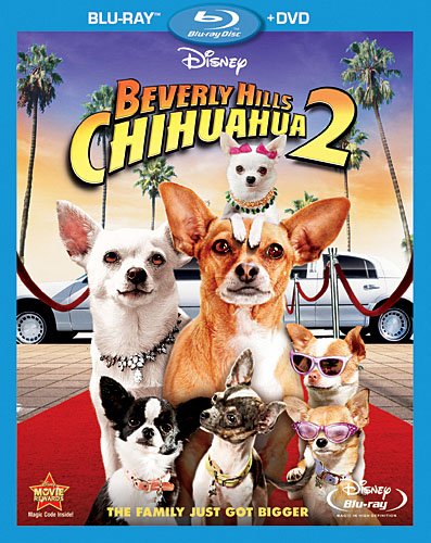 BEVERLY HILLS CHIHUAHUA 2 (2PC) (W / DVD) / (A-BEVERLY HILLS CHIHUAHUA 2 (2PC) (W / DVD) / (A