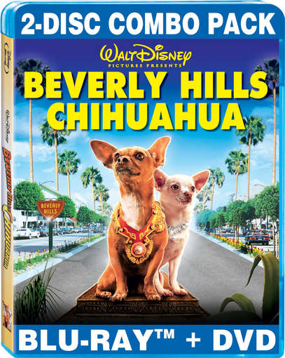 BEVERLY HILLS CHIHUAHUA (2PC) (W / DVD) / (AC3-BEVERLY HILLS CHIHUAHUA (2PC) (W / DVD) / (AC3