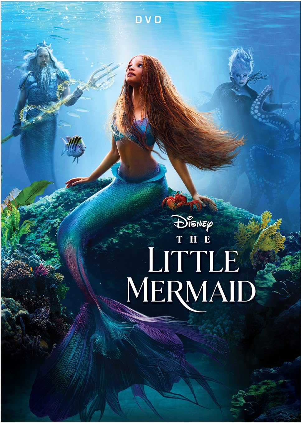 LITTLE MERMAID (2023) / (AC3 DOL DUB SUB)-LITTLE MERMAID (2023) / (AC3 DOL DUB SUB)