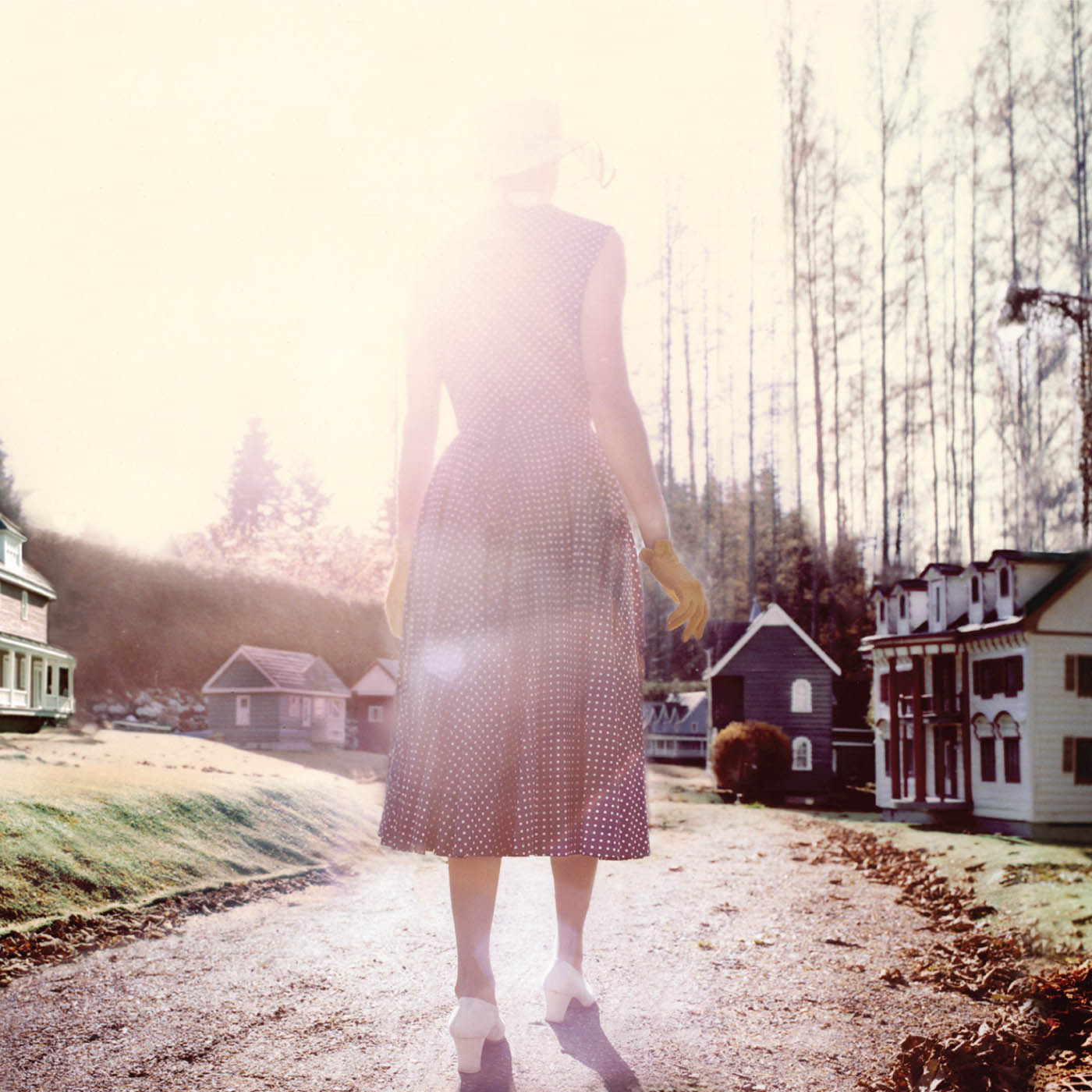 ADVENTURES IN YOUR OWN BACKYARD-PATRICK WATSON
