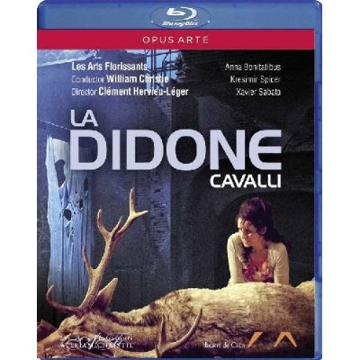 DIDONE-CAVALLI / BONITATIBUS / SPICER / SABAT