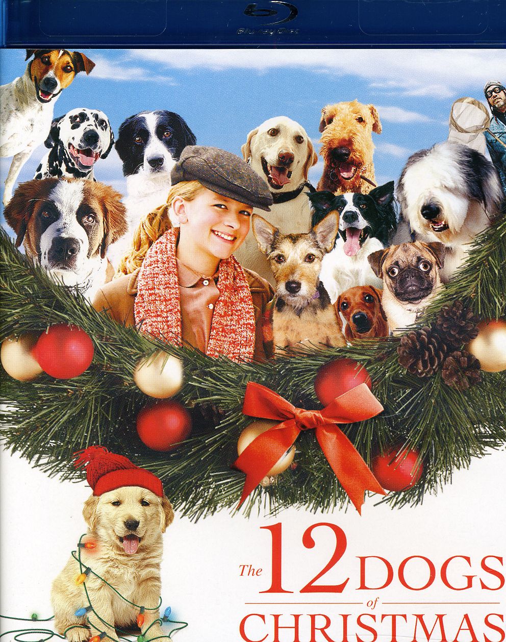 12 DOGS OF CHRISTMAS / (AC3 DOL WS)-12 DOGS OF CHRISTMAS / (AC3 DOL WS)