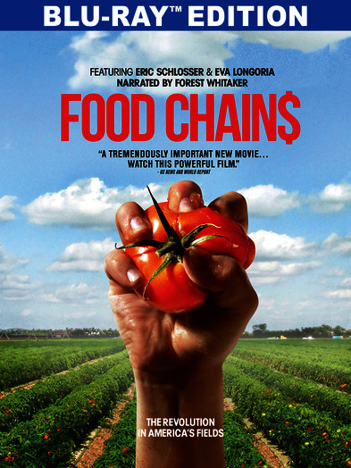FOOD CHAINS / (MOD AC3)-FOOD CHAINS / (MOD AC3)