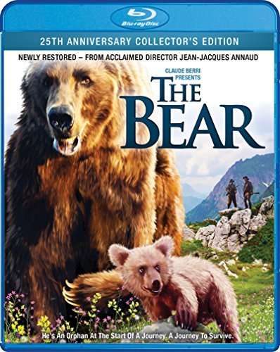BEAR / (WS)-BEAR / (WS)