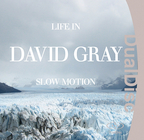LIFE IN SLOW MOTION-DAVID GRAY