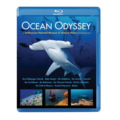 OCEAN ODYSSEY-OCEAN ODYSSEY