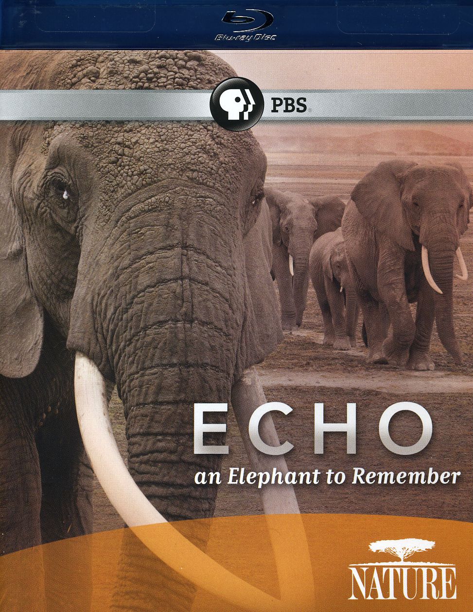 ECHO: AN ELEPHANT TO REMEMBER-ECHO: AN ELEPHANT TO REMEMBER