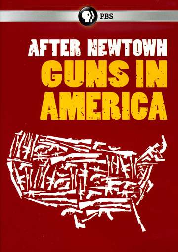 AFTER NEWTOWN: GUNS IN AMERICA-AFTER NEWTOWN: GUNS IN AMERICA